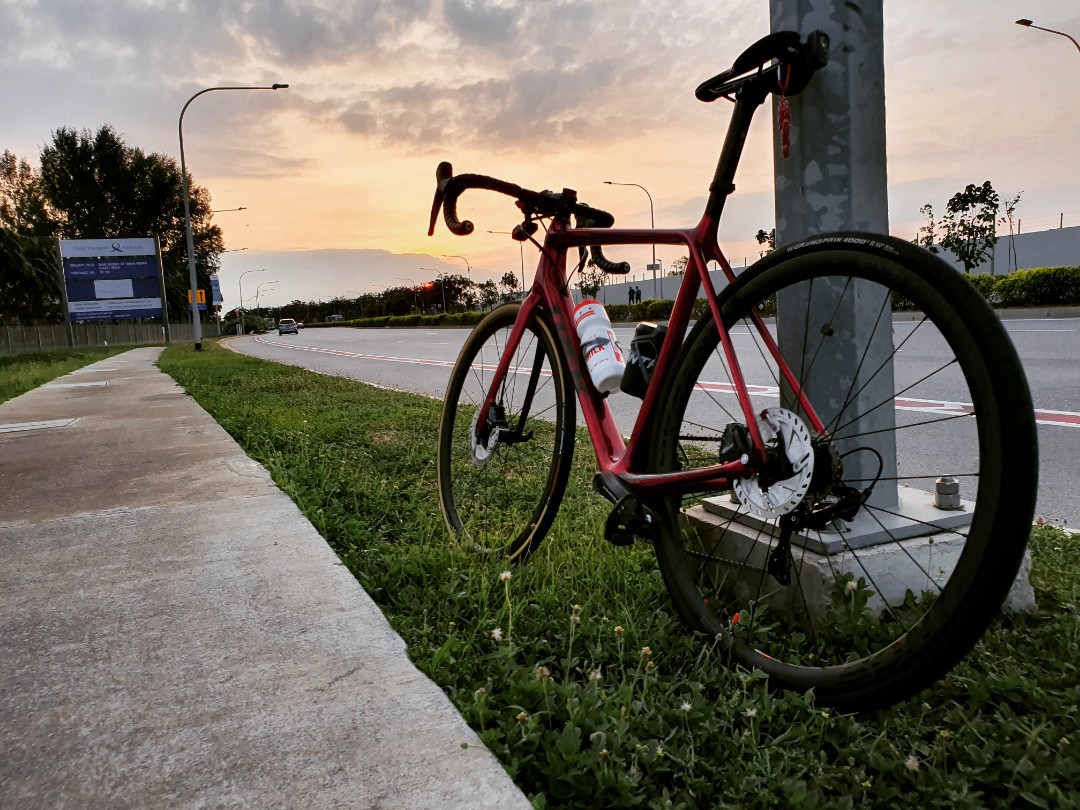 trek domane sl6 56cm