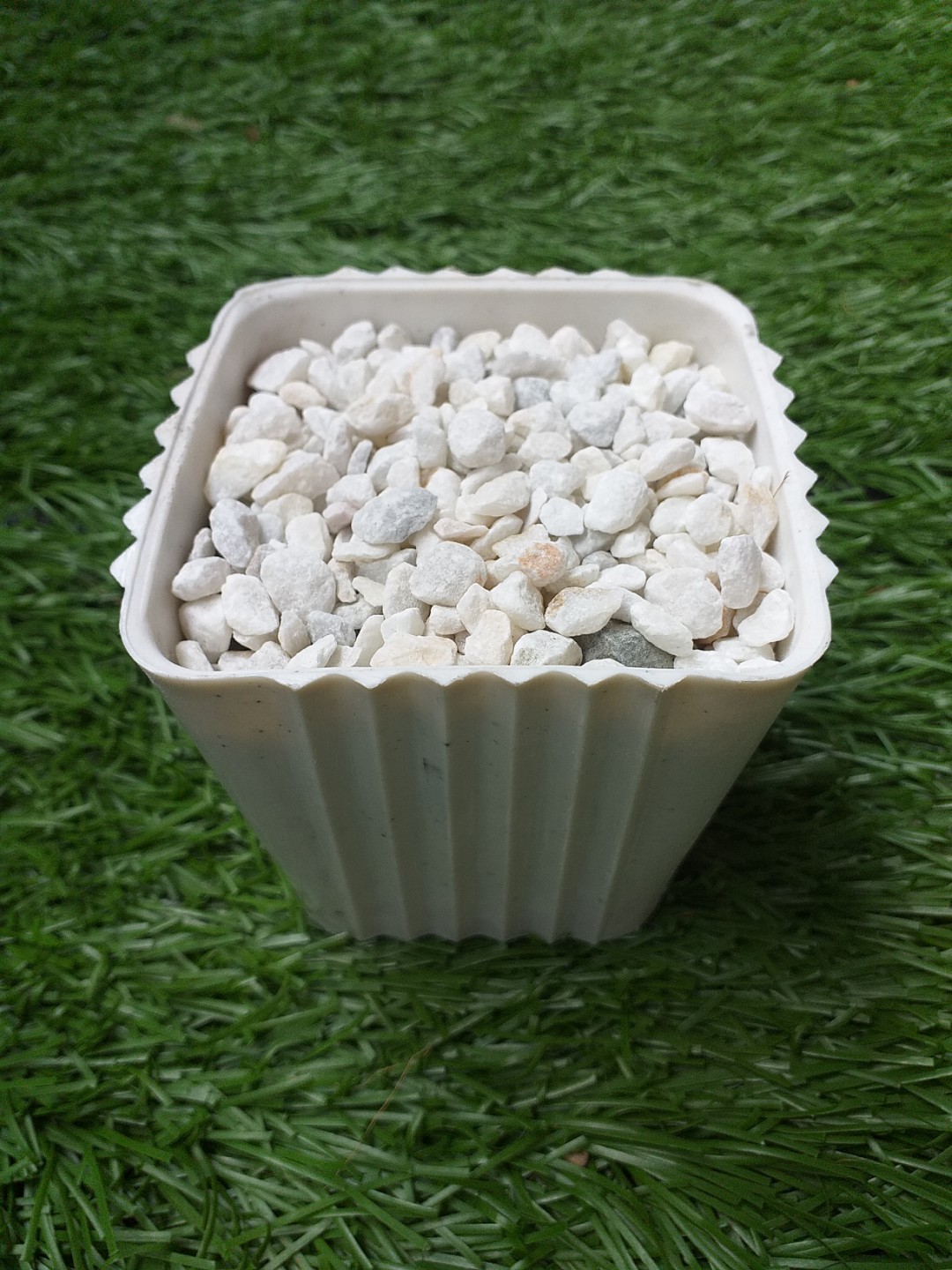 Php35 White Marble chips (Decorations for Succulent and Cactus)