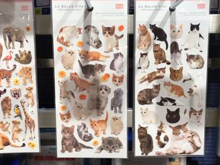 （分類：）位於 。 由 twinkle.nice 提交（商品編號 1005800985，圖片 1）。簡介： 。