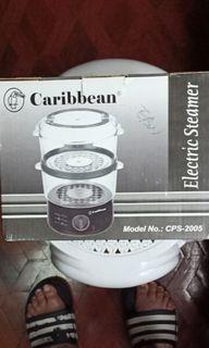 Caribbean Electric Steamer
