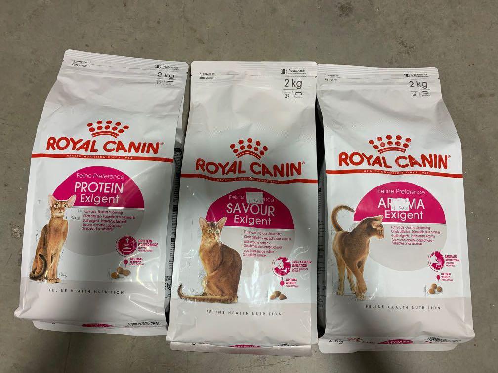 Fast Delivery 2kg Royal Canin Exigent Range Cat Food Ample Stocks No Need To Wait Good Stuff Sold Many Price Listed Is For One Bag Only Pet Supplies For Cats Cat