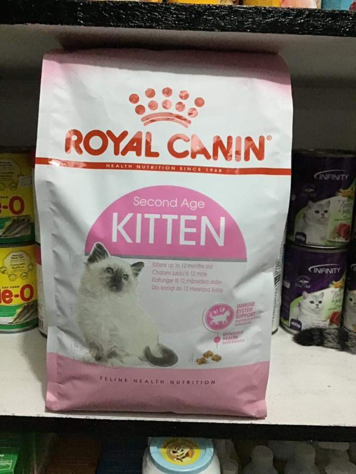 Royal Canin Kitten 36 2kg Bag Pets Supplies Pet Food On Carousell