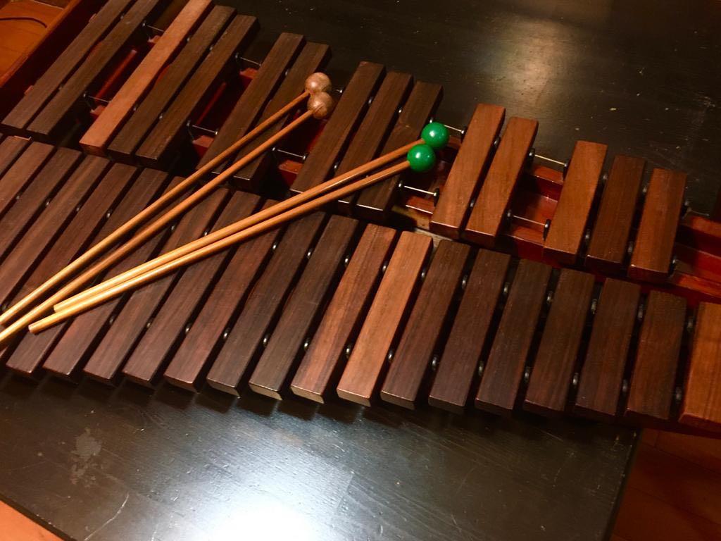 敲擊樂可摺疊式木琴xylophone 興趣及遊戲 音樂樂器 配件 樂器 Carousell