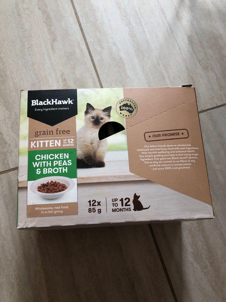 black hawk wet cat food