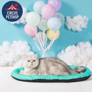 (Category: ) located in . Submitted by circus.petshop (Listing ID 1005967255, Image 1). Description: .