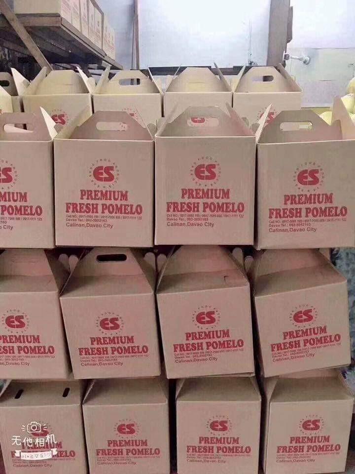 Fresh pomelo from davao fresh pomelo fresh davao pomelo fresh suha from