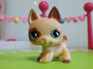 (Category: ) located in . Submitted by cake_pop (Listing ID 1006071590, Image 1). Description: .