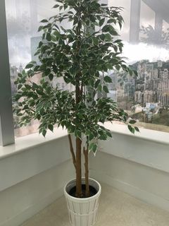 （分類：）位於 。 由 Akinnaa 提交（商品編號 1006050284，圖片 1）。簡介： 。