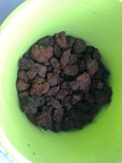 (Category: ) located in . Submitted by scott.gilmour (Listing ID 1006060714, Image 1). Description: .