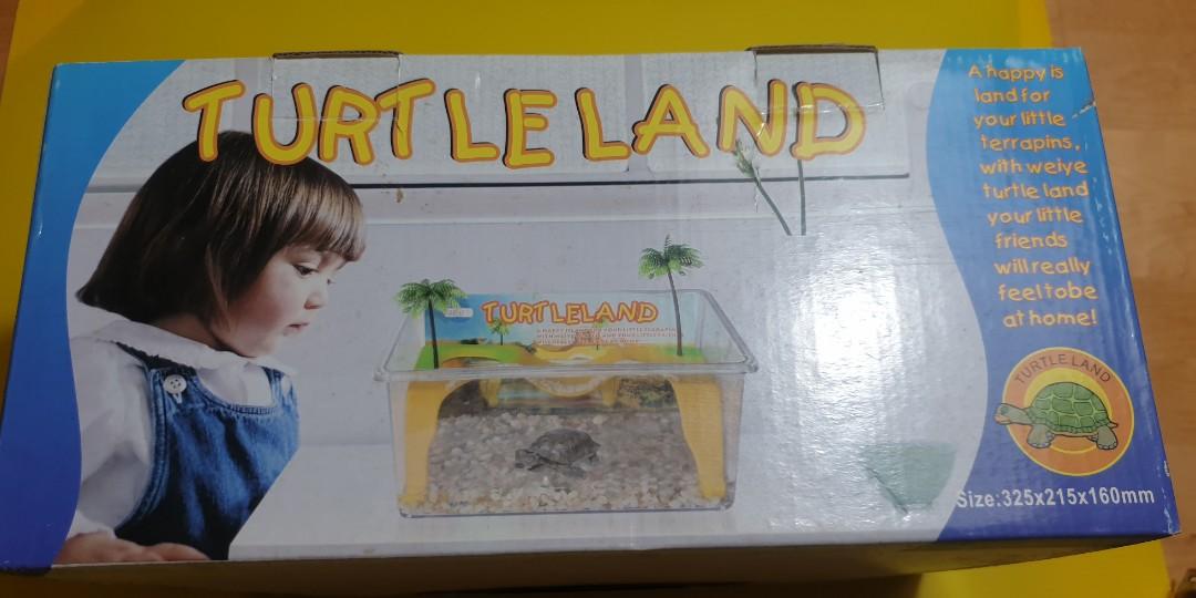 turtle container (Category: Homes & Other Pet Accessories) located in Singapore. Submitted by acyc777 (Listing ID 1005972965, Image 2). Description: new turtle house.great for keeping turtles or hermit crab and other usage..
