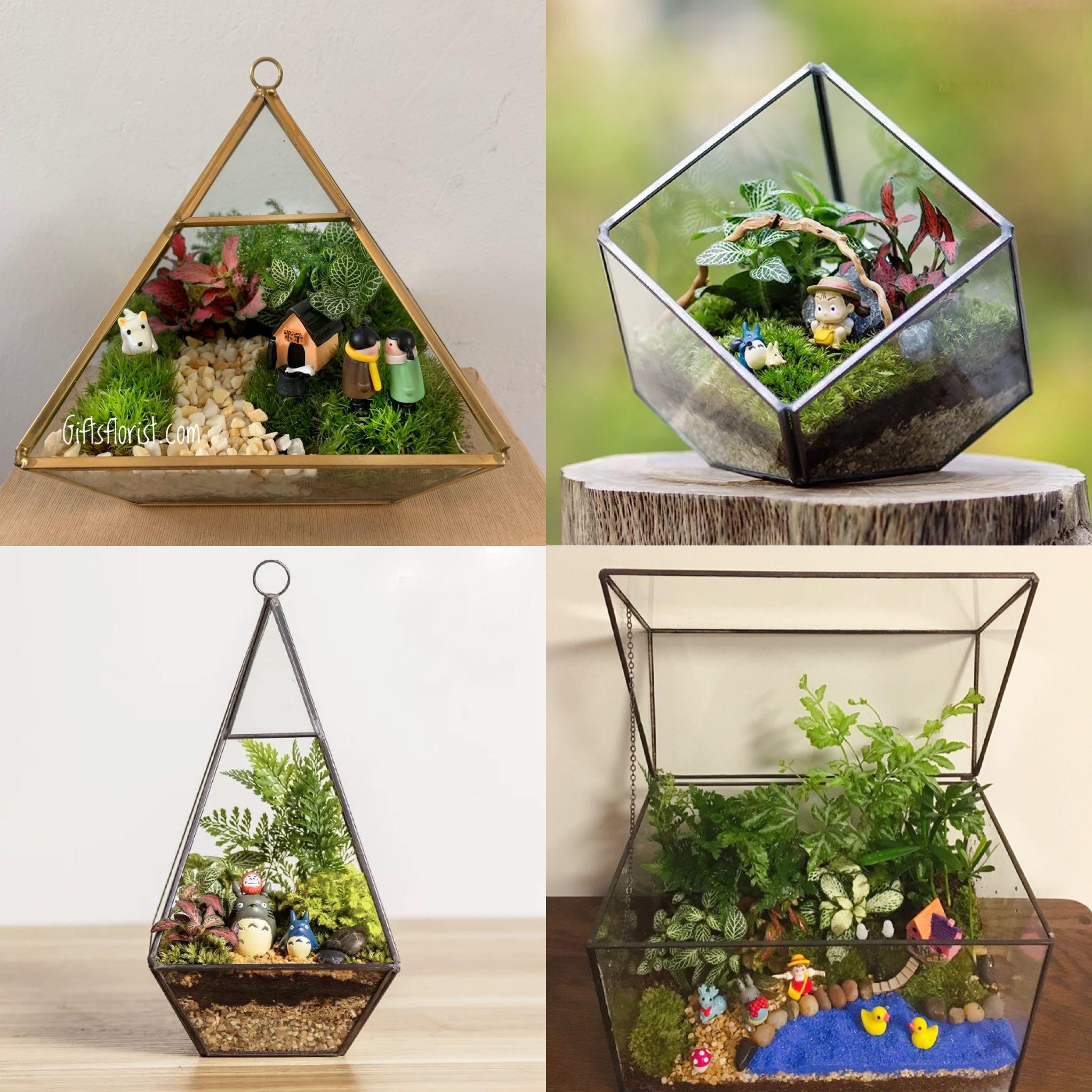 2023 Terrarium Series 19 Terrarium Geometric Vase, Furniture & Home