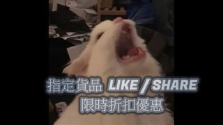 （分類：）位於 。 由 siumic374 提交（商品編號 1006273709，圖片 1）。簡介： 。