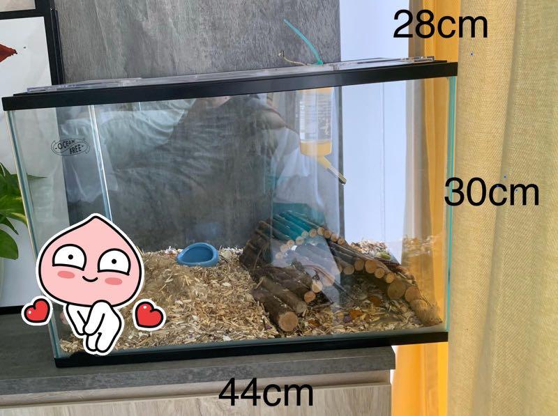 Aquarium tank for hamster shop