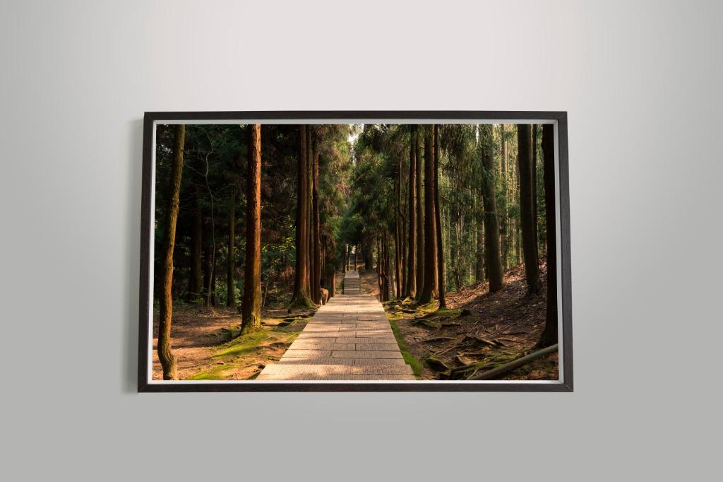 Forest Walk Zhang Jia Jie China Home Decoration Wall Art Nature Landscape Poster Canvas Print Design Craft Art Prints On Carousell