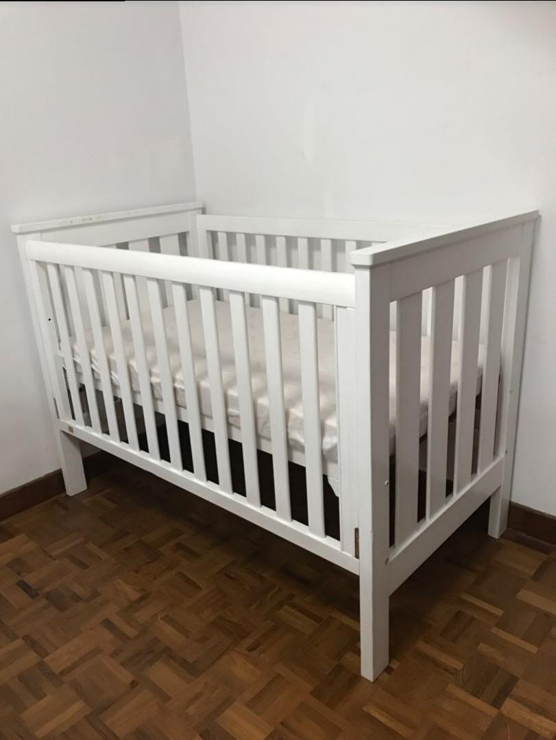 King parrot boori cot 2025
