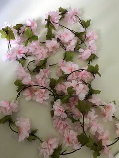 （分類：）位於 。 由 silviasc 提交（商品編號 1006457344，圖片 1）。簡介： 。