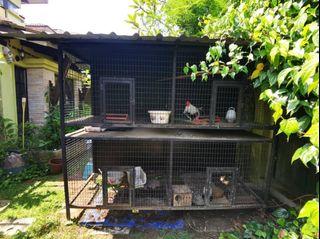 Ayam Pet Supplies Carousell Malaysia