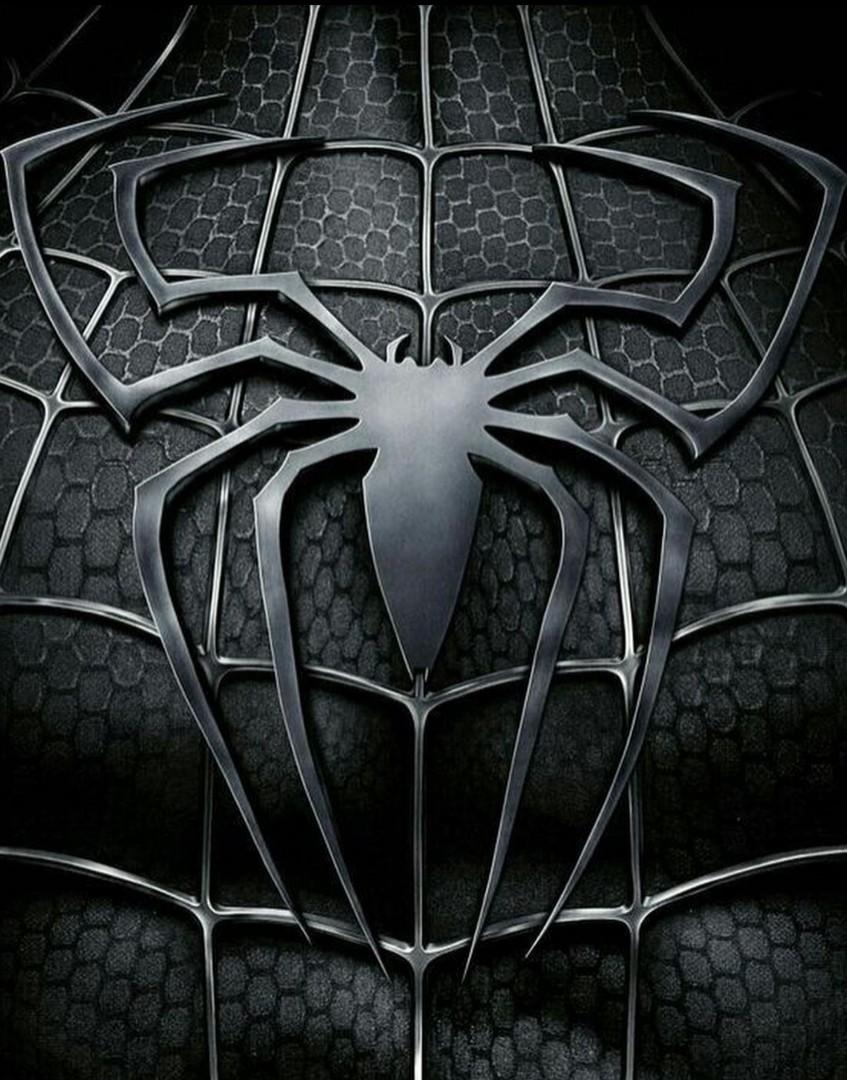 Raimi Spider-Fan on X: 
