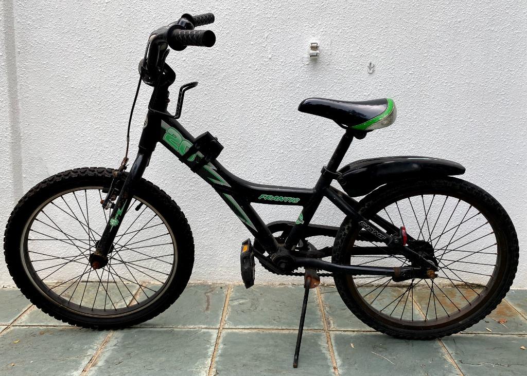 Giant frantic 2025 20 inch bike