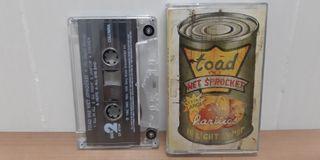 Toad The Wet Sprocket - In Light Syrup (1995) cassette album
