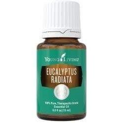 15mL Eucalyptus Radiata Essential Oil (Category: Body Care) located in Bontoc. Submitted by essentially_yours (Listing ID 1006841116, Image 1). Description: Respiratory and Skin Support.
