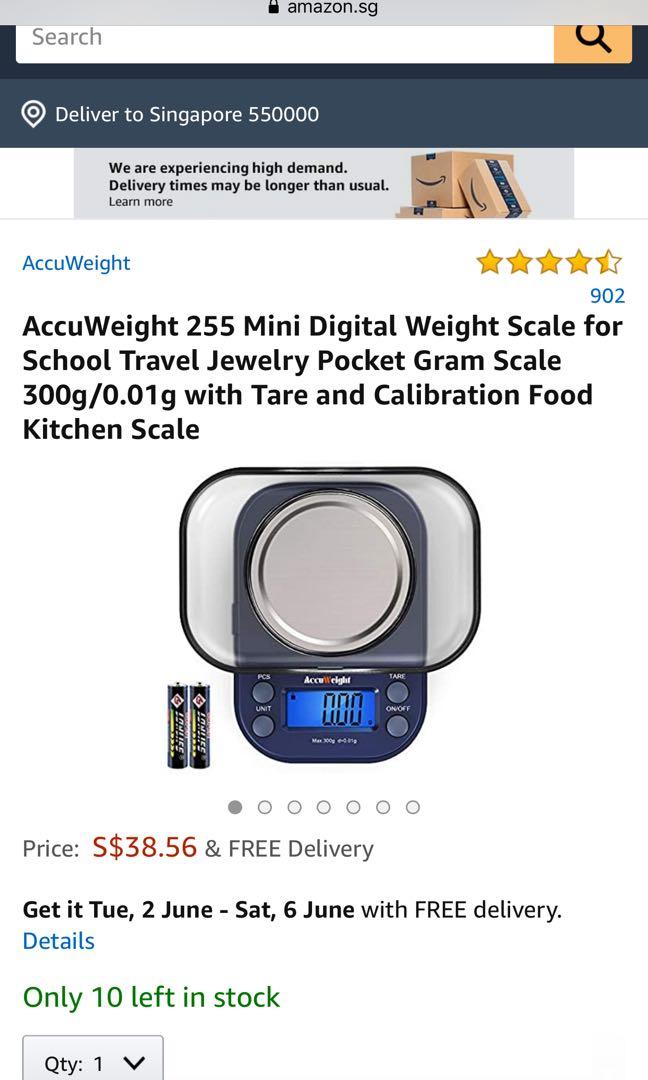 Digital Pocket Scale, High Accuracy within 1000g/0.1g, Personal Nutrition  Scale with LCD Back-Lit Display, Portable travel scale for Food, Medicine,  Jewelry 