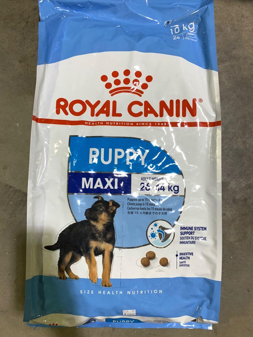 Fast Delivery 10kg Royal Canin Maxi Puppy Dog Food 26kg To 44kg Ample Stocks No Need To Wait Pet Supplies For Dogs Dog Food On Carousell
