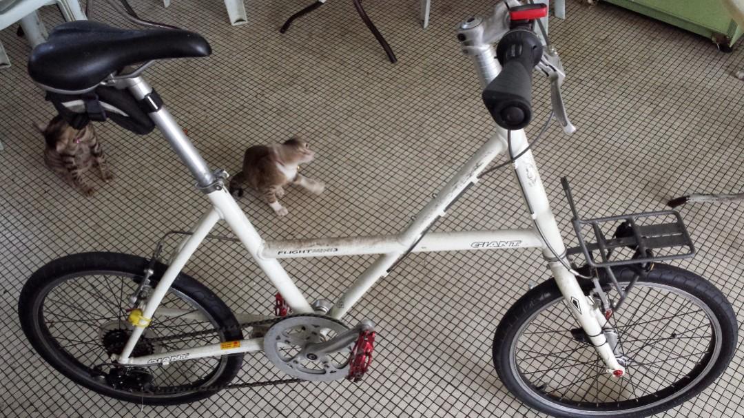 Giant deals mini bike