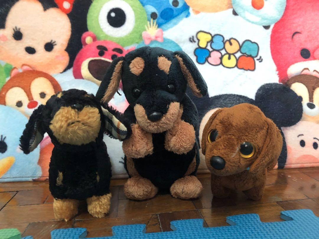 dachshund preloved