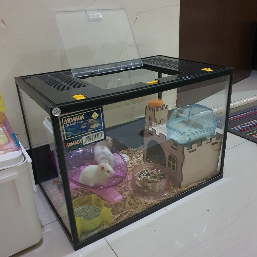 PRELOVED JUAL CEPAT AQUARIUM IKAN ARMADA UKURAN L 40x25x28 TUTUP KANDANG HAMSTER LANDAK REPTIL GLASS WATER TANK