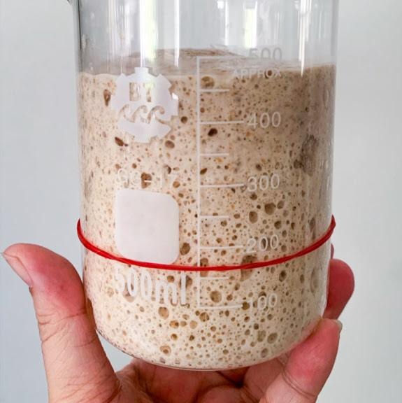 Sourdough starter+rye flour Tiong Bahru, Food & Drinks, Baked Goods on
