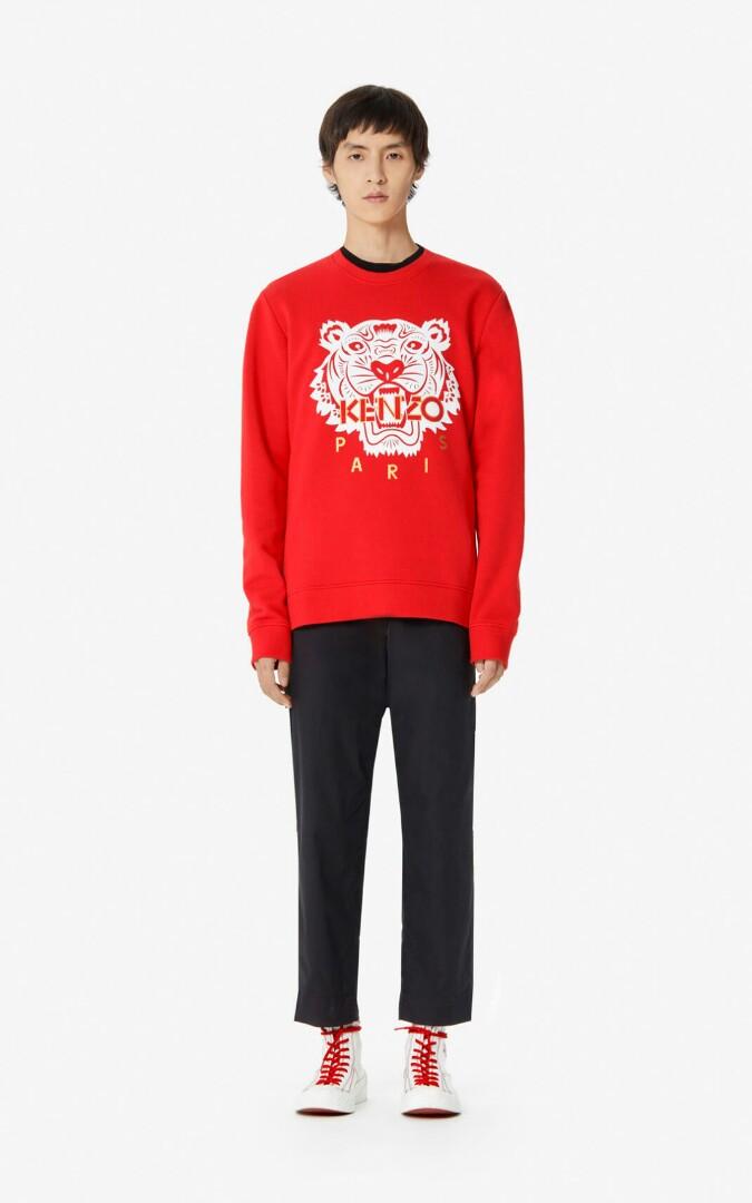 zapatos puma modelos jordan