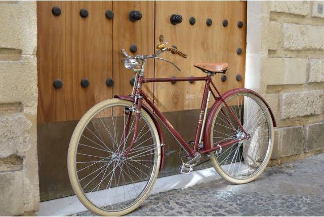 schwalbe delta cruiser plus tyre