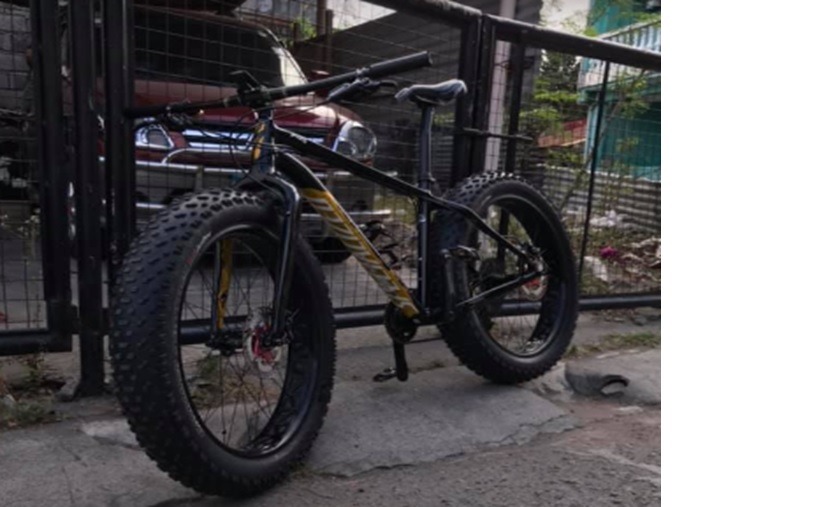 specialized fatboy price