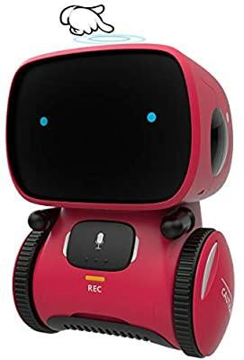 Interactive robot for best sale adults