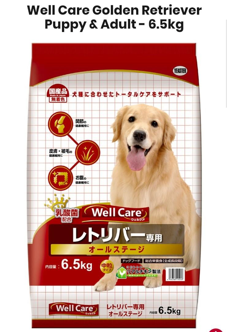 Well Care Golden Retriever Puppy Adult 6 5 Kg On Sale High Demand Pet Supplies For Dogs Dog Food On Carousell