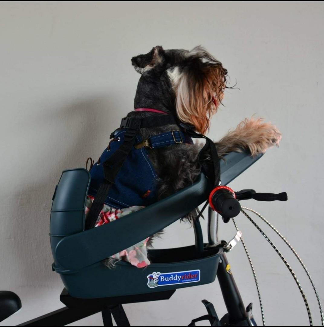 buddyrider dog bike carrier