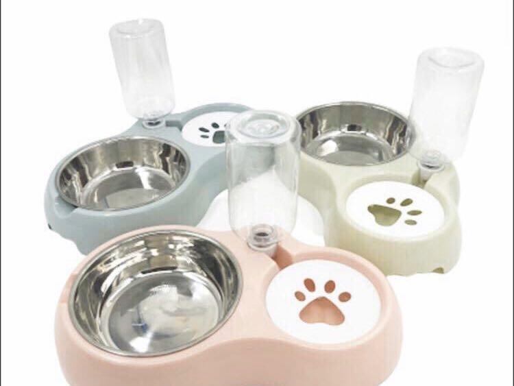 dog drinking bowl