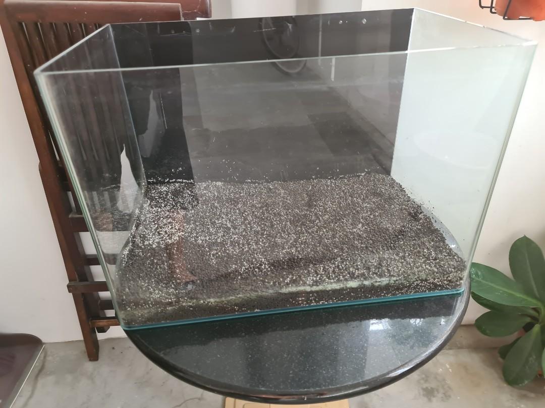 Foc 50Cm Curve Fish Tank, Pet Supplies, Homes & Other Pet Accessories On  Carousell
