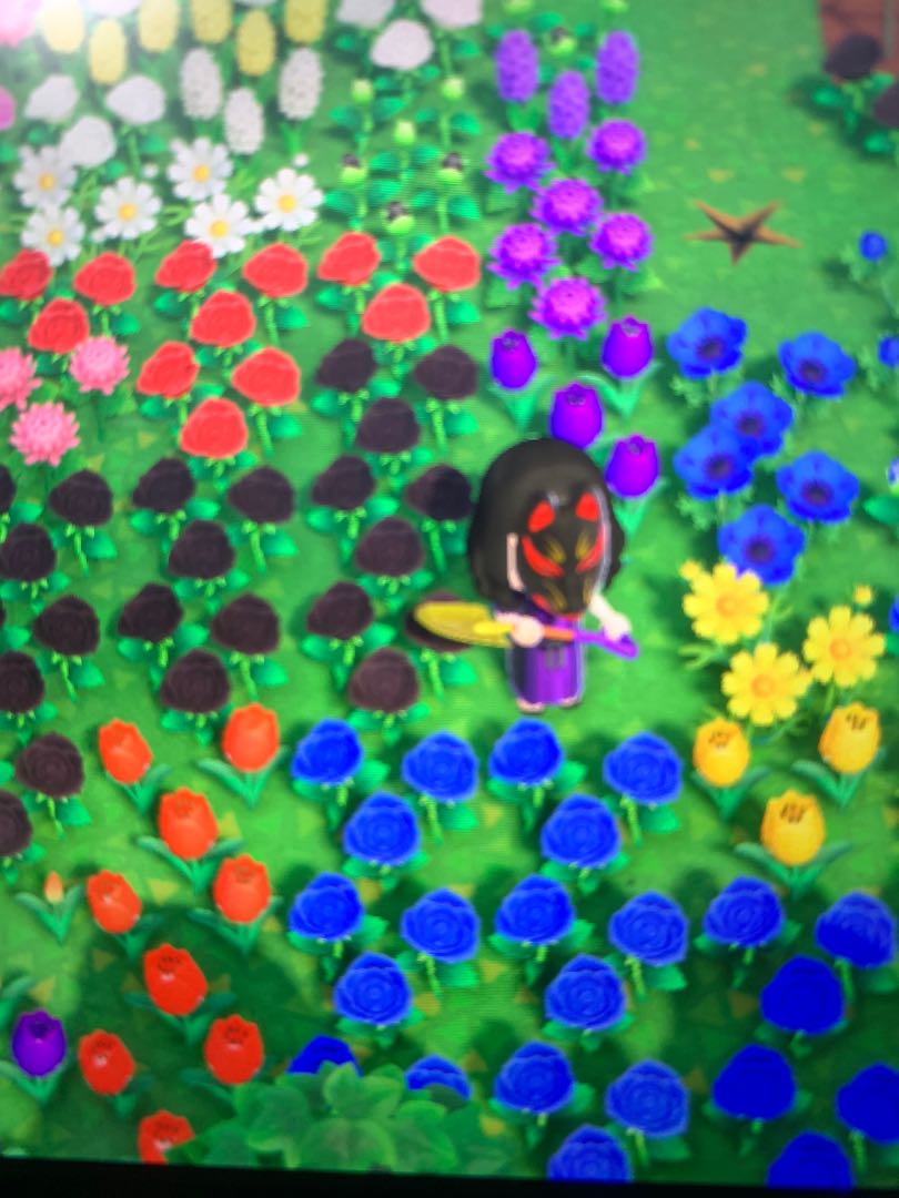 Hybrid Flower Animal Crossing Horizon, Video Gaming, Gaming Accessories