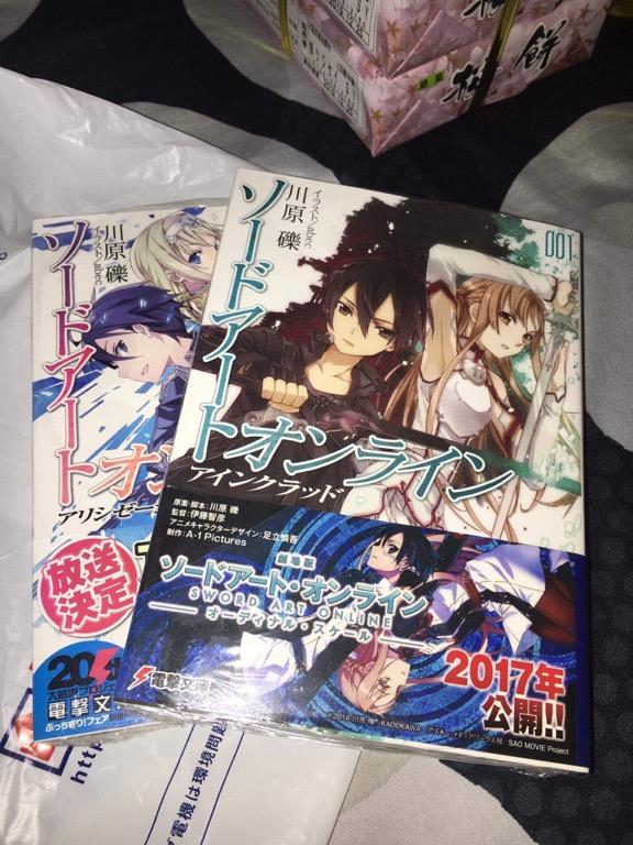 Light Novel Sao Sword Art Online Books Comics Manga On Carousell