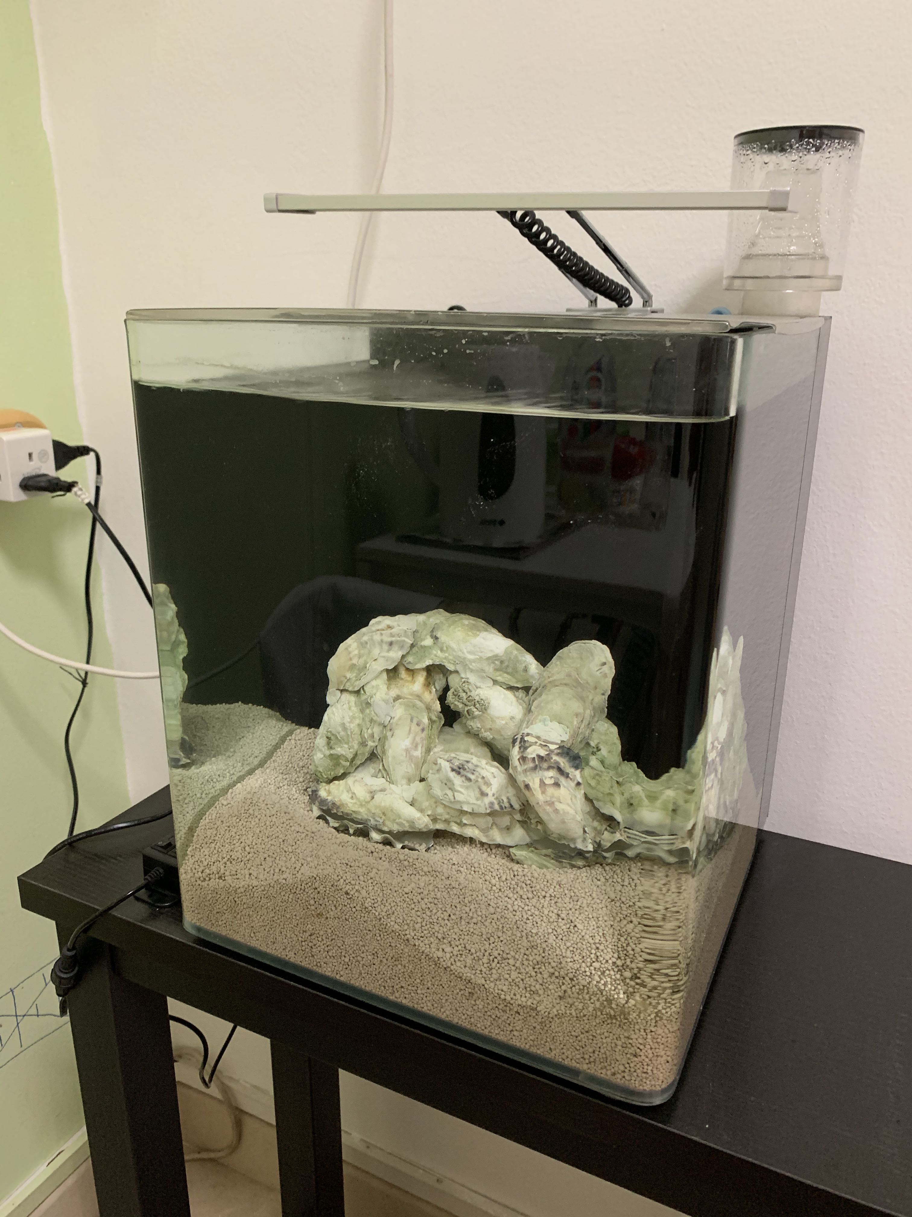 Nano marine tank, Pet Supplies, Homes & Other Pet Accessories on Carousell