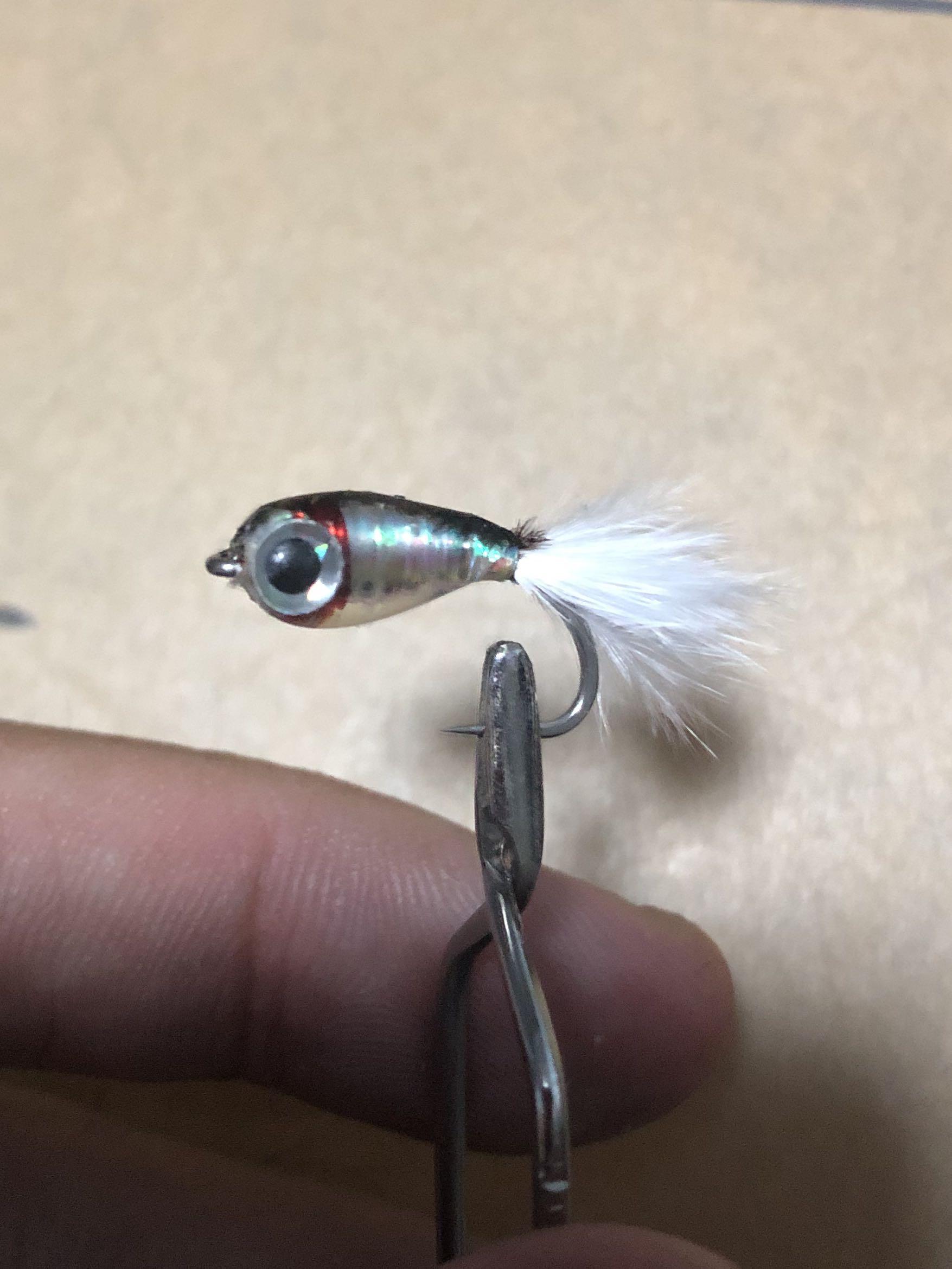 Peacock bass fishing fly- Mini Fry, Sports Equipment, Fishing on Carousell