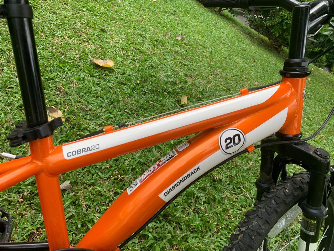 Diamondback cobra deals 20 weight