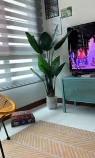 (Category: ) located in . Submitted by pqueno (Listing ID 1003991837, Image 1). Description: .
