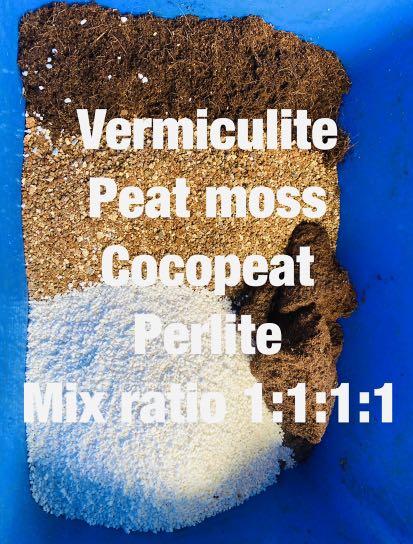 Organic Potting Mix Not Soil For Your Garden Gardening Plants On Carousell