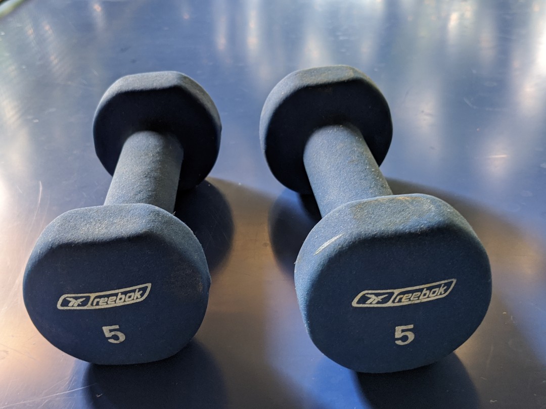 Reebok 5kg sales dumbbell