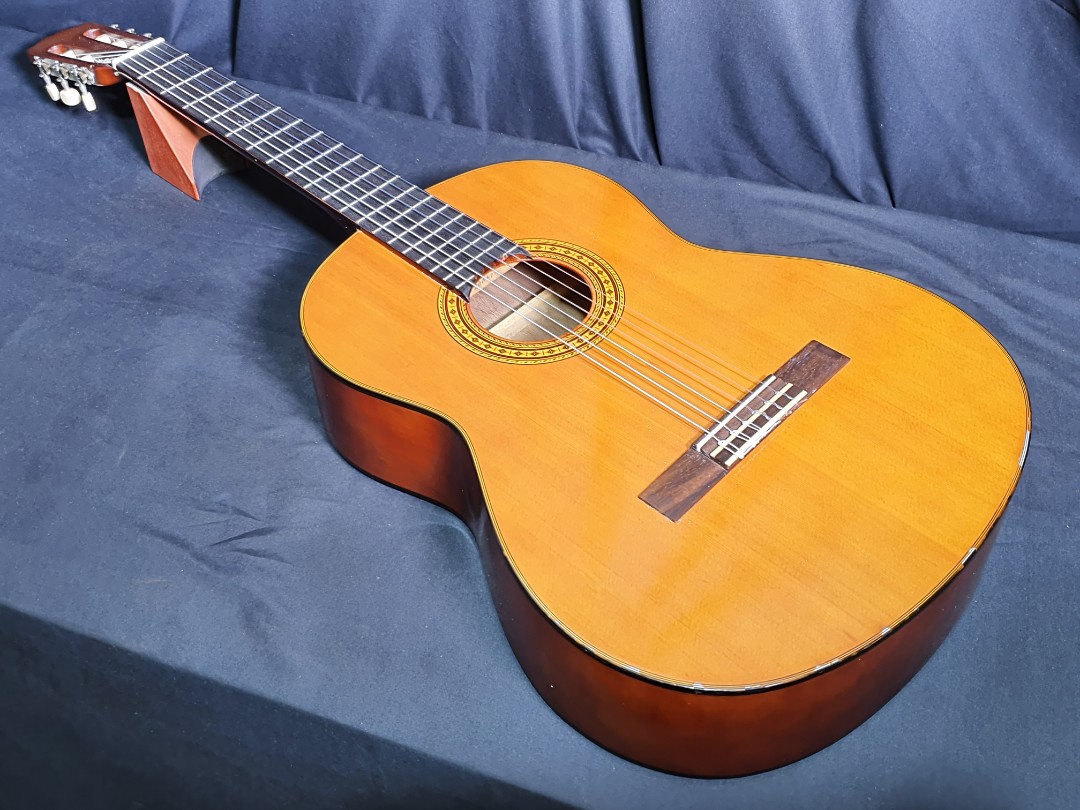 takamine g 116 price