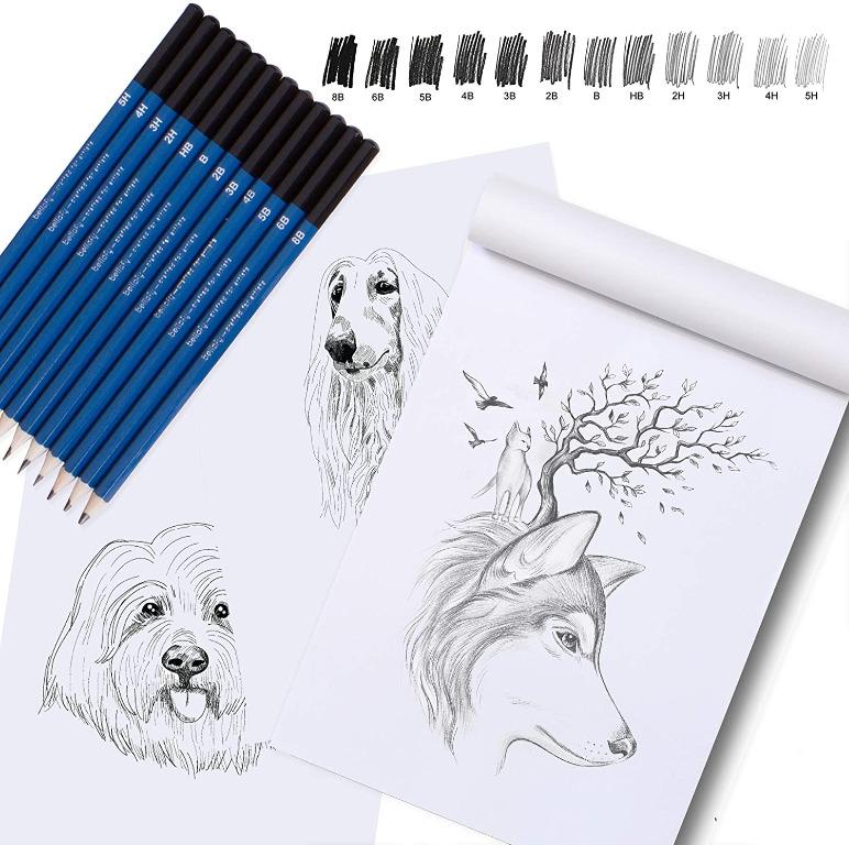 Bellofy Professional Drawing Kit Artist Drawing Supplies Kit 33