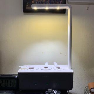 Click & Grow (Good Condition)